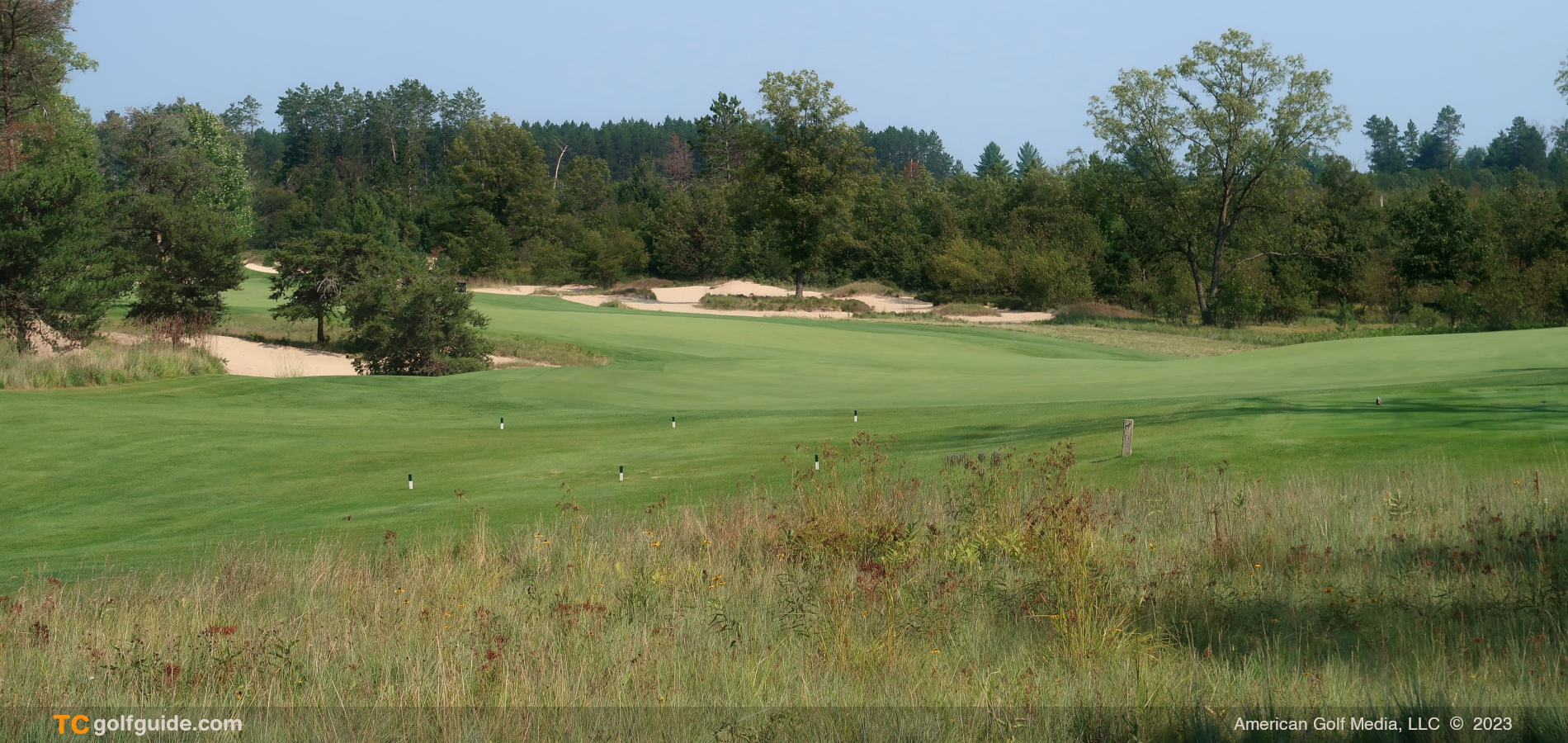 forestdunes-05