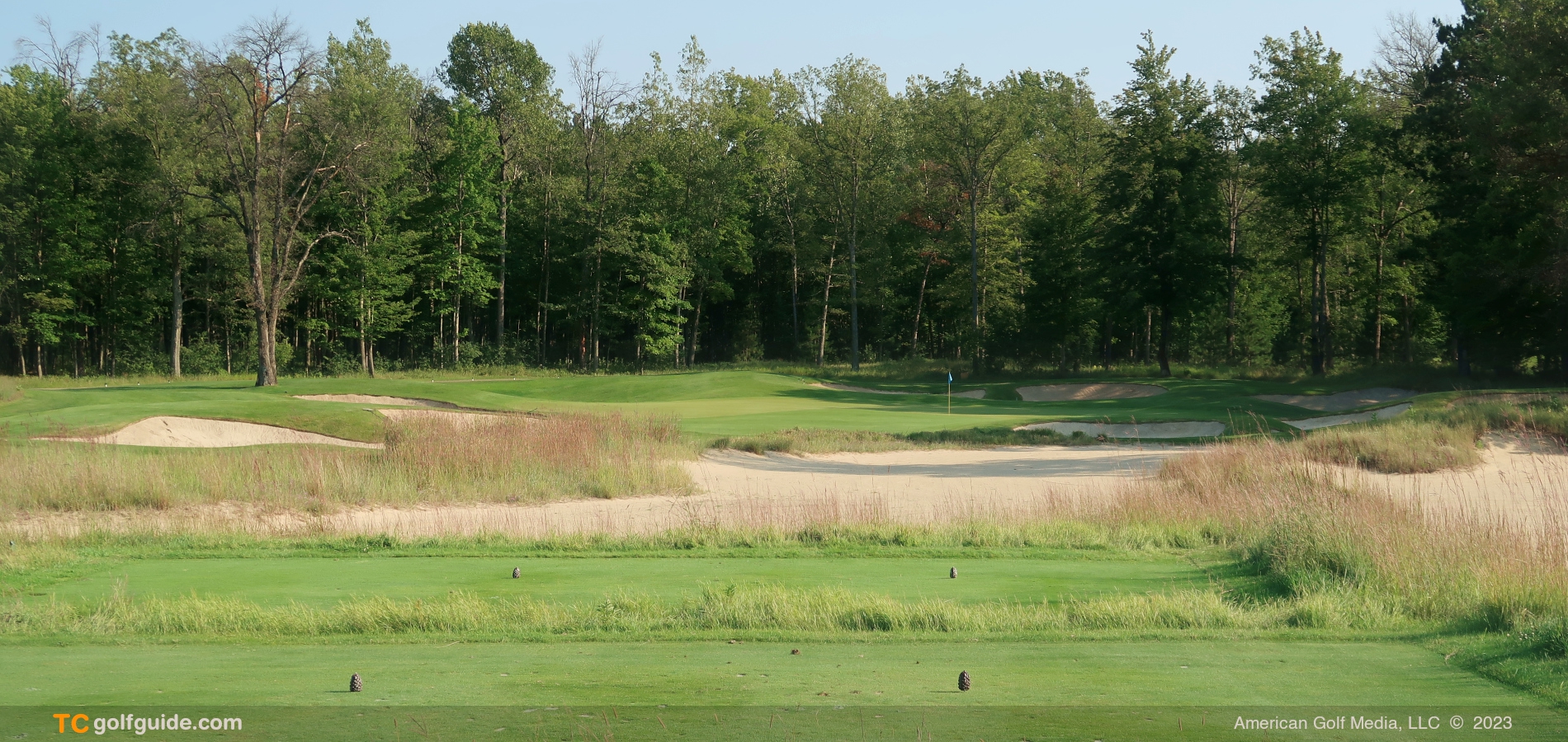 forestdunes-11