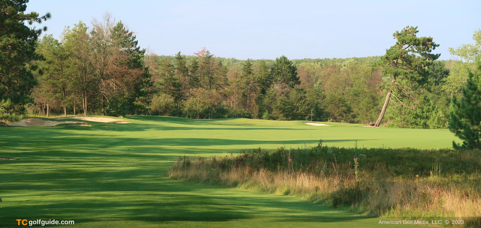 forestdunes-13